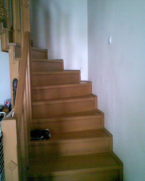 Bükk lépcső